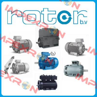 Rotor
