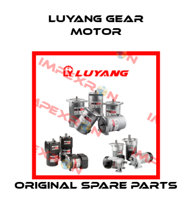 Luyang Gear Motor