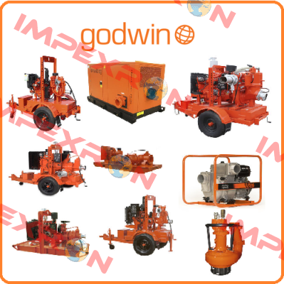 Godwin Pumps
