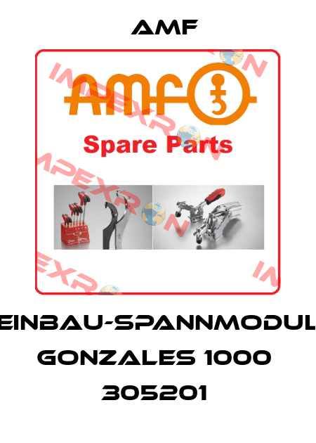 Einbau-Spannmodul Gonzales 1000    305201  Amf