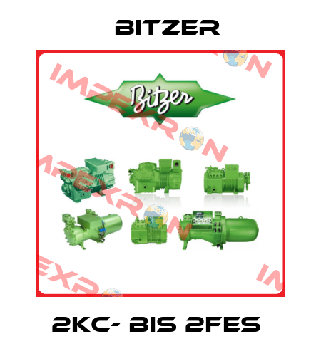 2KC- BIS 2FES  Bitzer