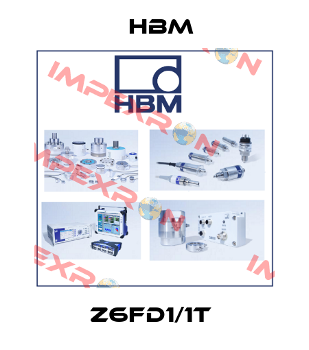 Z6FD1/1T  Hbm