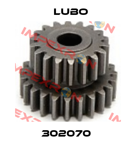 302070  Lubo