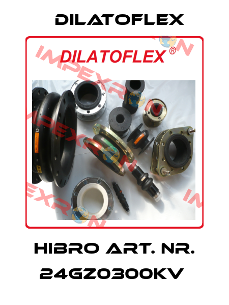 Hibro Art. Nr. 24GZ0300KV  DILATOFLEX