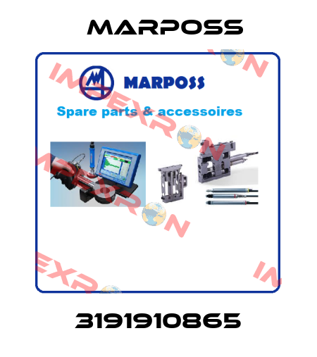 3191910865 Marposs