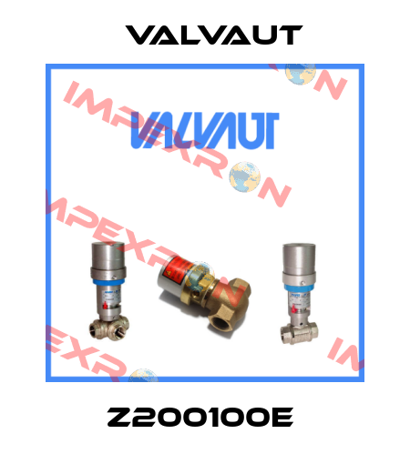 Z200100E  Valvaut