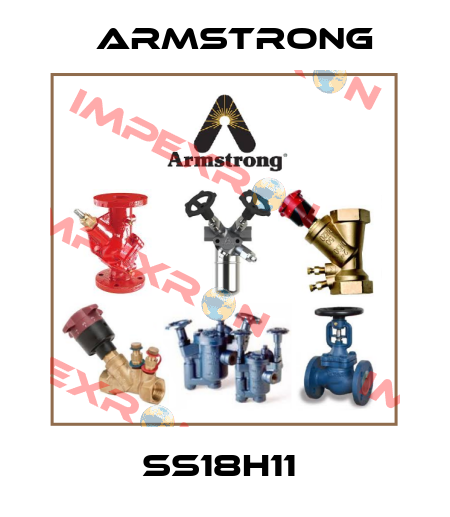 SS18H11  Armstrong