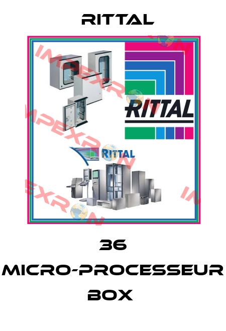 36 MICRO-PROCESSEUR BOX  Rittal