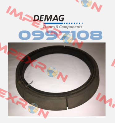 09971084 Demag