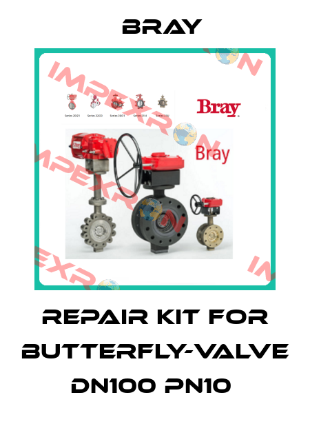 Repair kit for butterfly-valve DN100 PN10  Bray