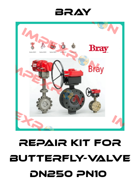 Repair kit for butterfly-valve DN250 PN10  Bray