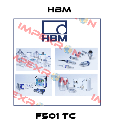 F501 TC  Hbm