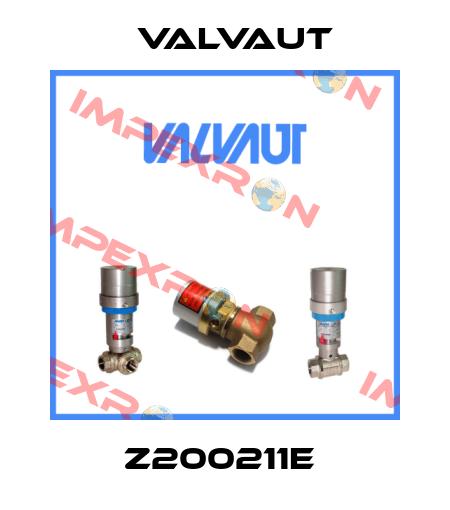 Z200211E  Valvaut