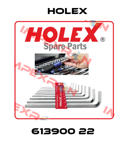 613900 22  Holex