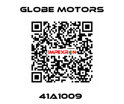 41A1009  Globe Motors