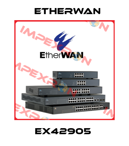 EX42905  Etherwan