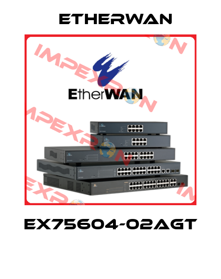 EX75604-02AGT  Etherwan
