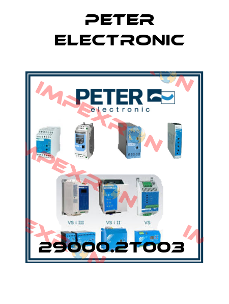 29000.2T003  Peter Electronic