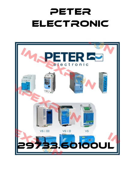 29733.60100UL  Peter Electronic