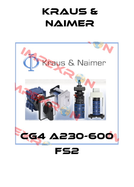 CG4 A230-600 FS2 Kraus & Naimer