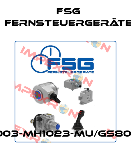 SL3003-MH1023-MU/GS80/G-01 FSG Fernsteuergeräte
