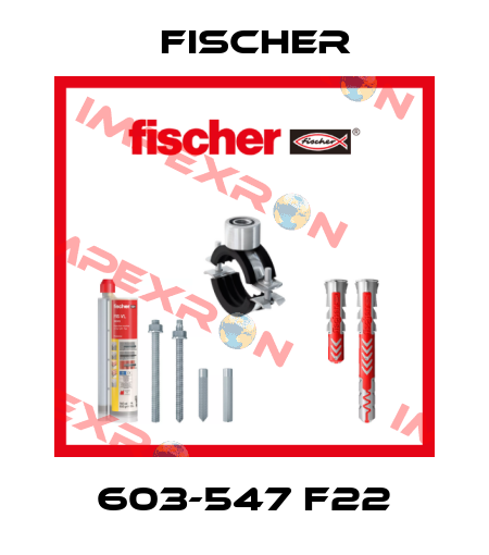 603-547 F22 Fischer