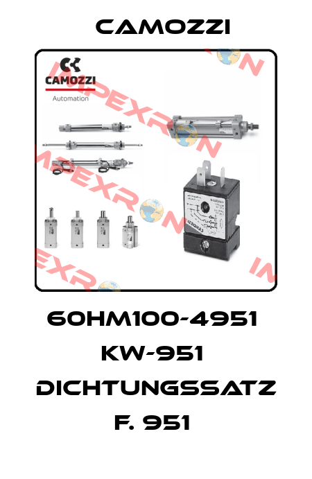 60HM100-4951  KW-951  DICHTUNGSSATZ F. 951  Camozzi