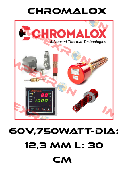 60V,750WATT-DIA: 12,3 MM L: 30 CM  Chromalox