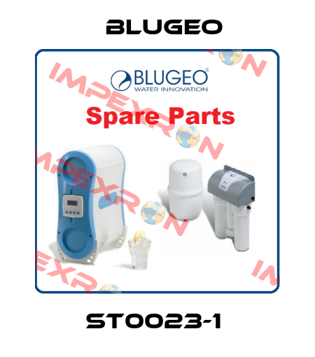 ST0023-1  Blugeo