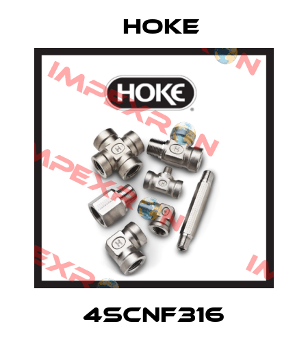 4SCNF316 Hoke
