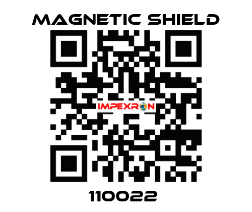 110022  Magnetic Shield