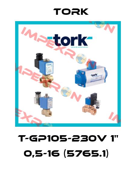 T-GP105-230V 1" 0,5-16 (5765.1)  Tork