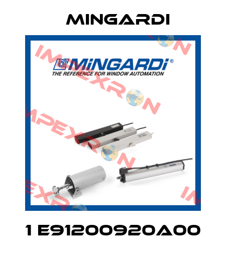 1 E91200920A00 Mingardi