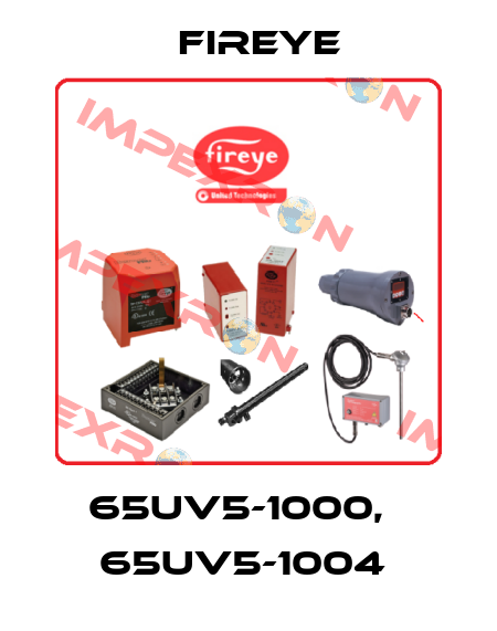 65UV5-1000,   65UV5-1004  Fireye