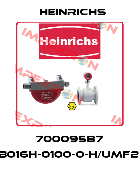 70009587 PIT-S317B016H-0100-0-H/UMF2-B11F00H  Heinrichs