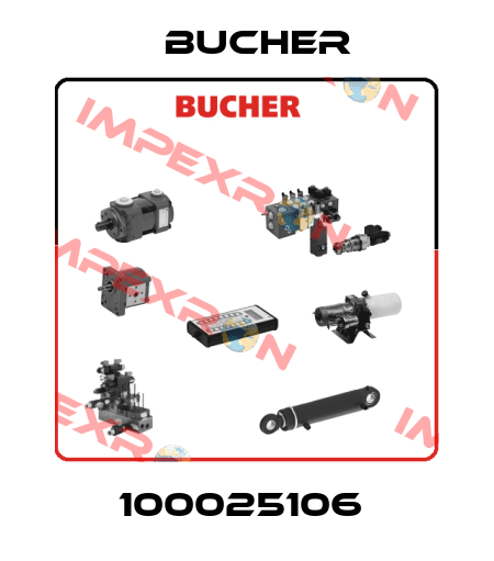 100025106  Bucher