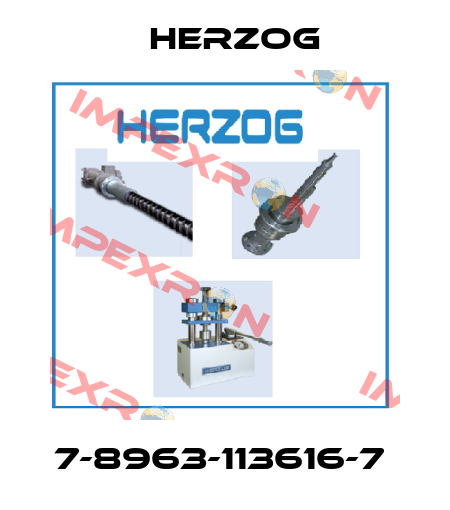 7-8963-113616-7  Herzog