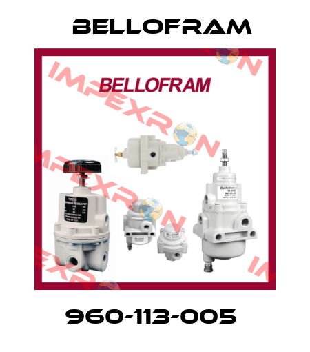 960-113-005  Bellofram