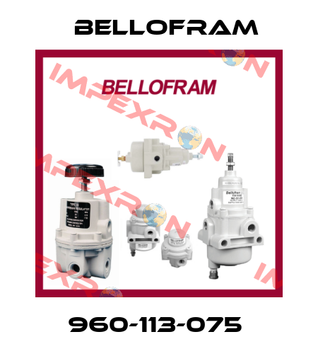 960-113-075  Bellofram