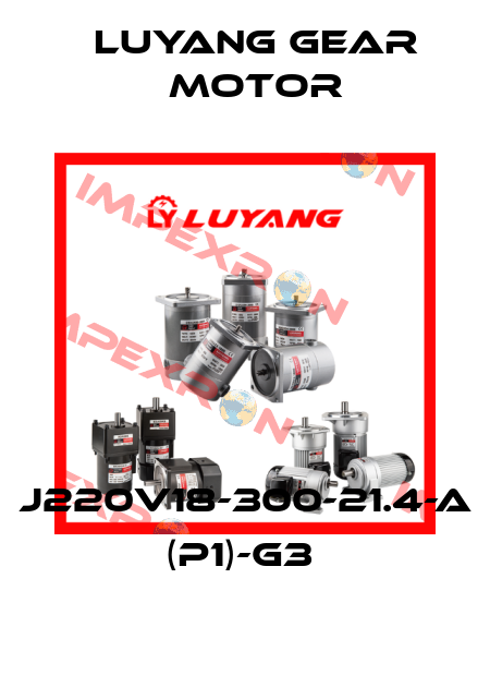 J220V18-300-21.4-A (P1)-G3  Luyang Gear Motor