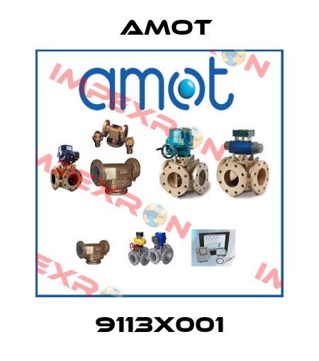 9113X001 Amot