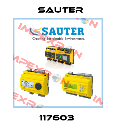 117603  Sauter