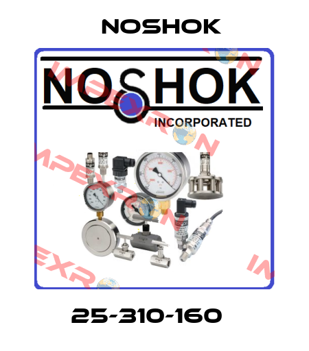 25-310-160   Noshok