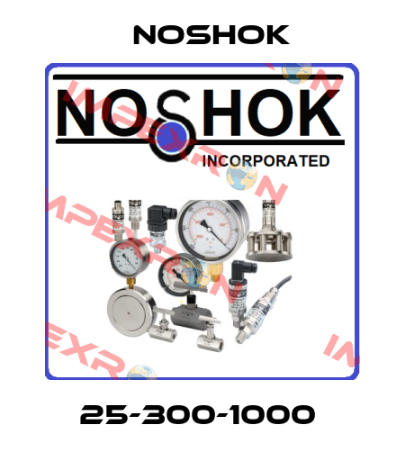 25-300-1000  Noshok