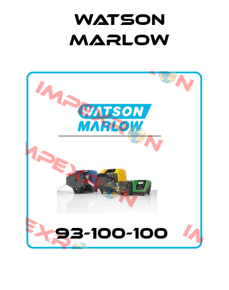 93-100-100  Watson Marlow