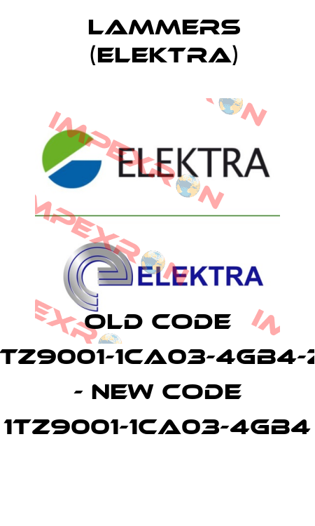old code 1TZ9001-1CA03-4GB4-Z - new code 1TZ9001-1CA03-4GB4 Lammers (Elektra)