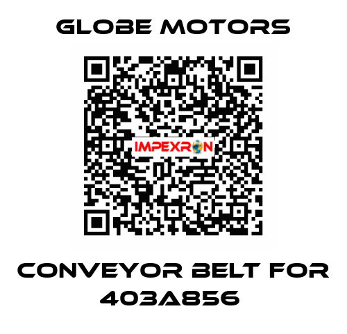 Conveyor Belt for 403A856  Globe Motors
