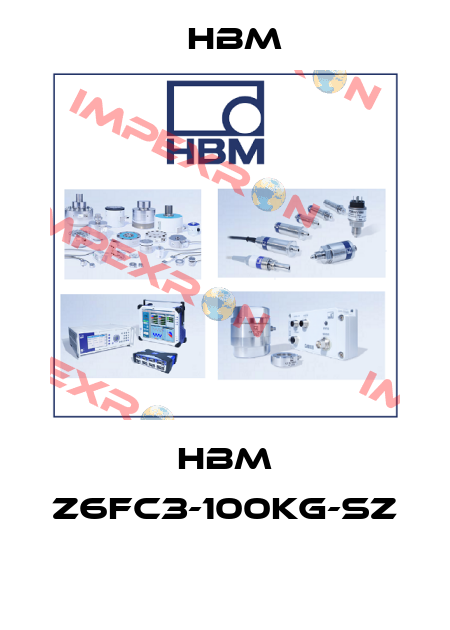 HBM Z6FC3-100kg-SZ  Hbm