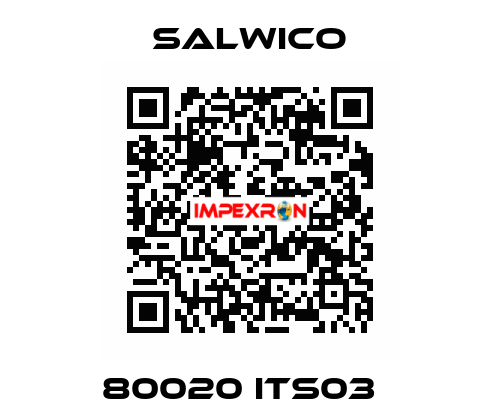 80020 ITS03   Salwico