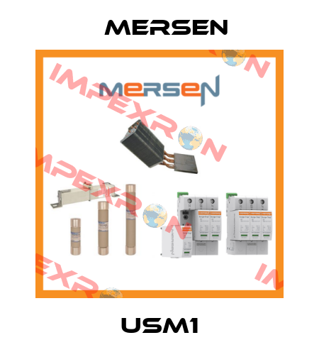 USM1 Mersen